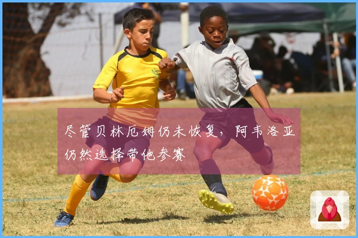 尽管贝林厄姆仍未恢复，阿韦洛亚仍然选择带他参赛