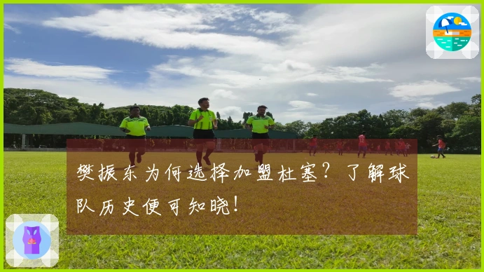 樊振东为何选择加盟杜塞？了解球队历史便可知晓！